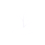 plantation arbres fruitiers - sadaqa jariya